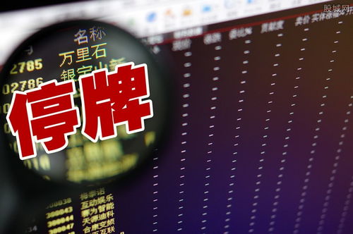 润和软件停牌风波 散户8日豪掷554亿热捧，鸿蒙概念与外包服务双轮驱动下的资本狂潮